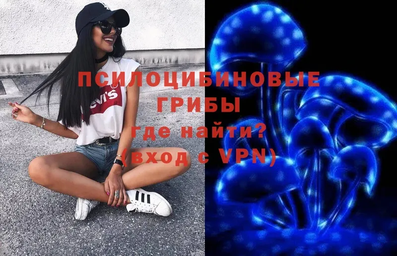 Псилоцибиновые грибы Magic Shrooms Курск